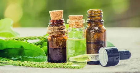 Landare-olio ezinbestekoa erabiltzea