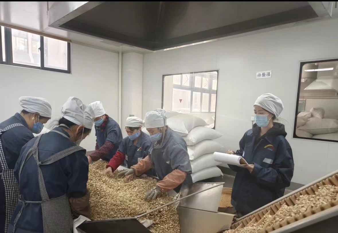 Qingdao Biohoer Biotech Co., Ltd. ofizialki hasi da eraikuntza