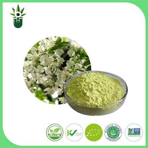 Zein dira Rutin extract-en funtzioak?