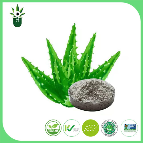 Aloe Vera Estraktua