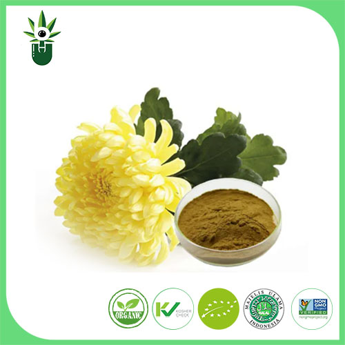 Chrysanthemum extract