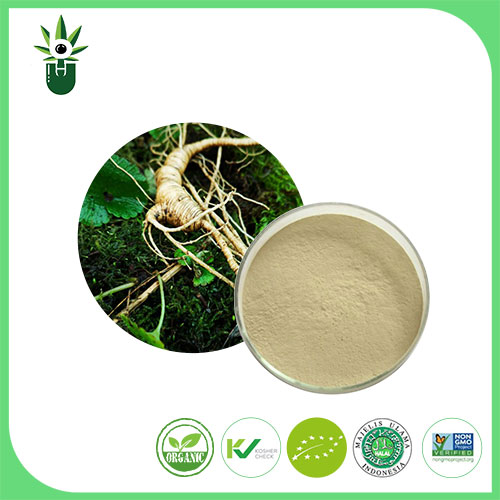 Ginseng Estraktua