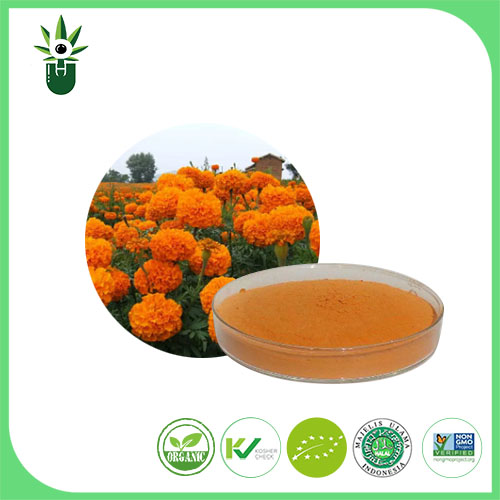 Marigold extract