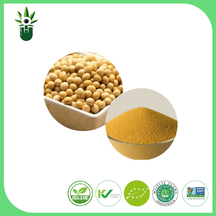 GMO ez den soja erauzketa hautsa% 90 soja isoflavones