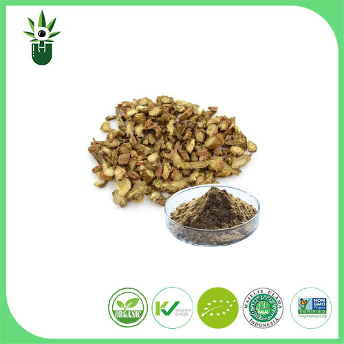 Salvia Miltiorrhiza Extract