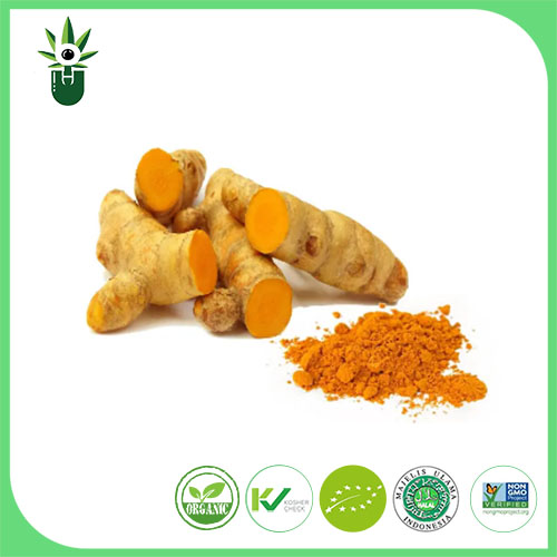 Turmeric extract